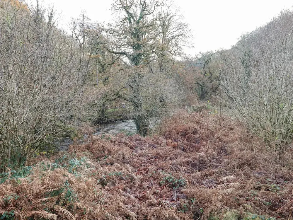 Teign River Retreat