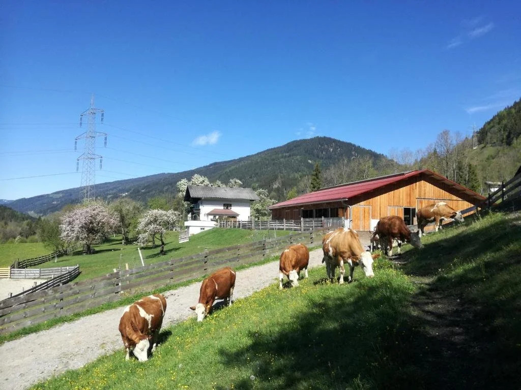BIO Betrieb Saumerhof