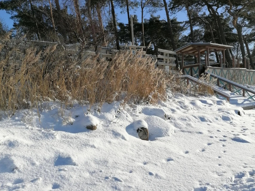 Alluring Holiday Home in Pepelow near Seabeach