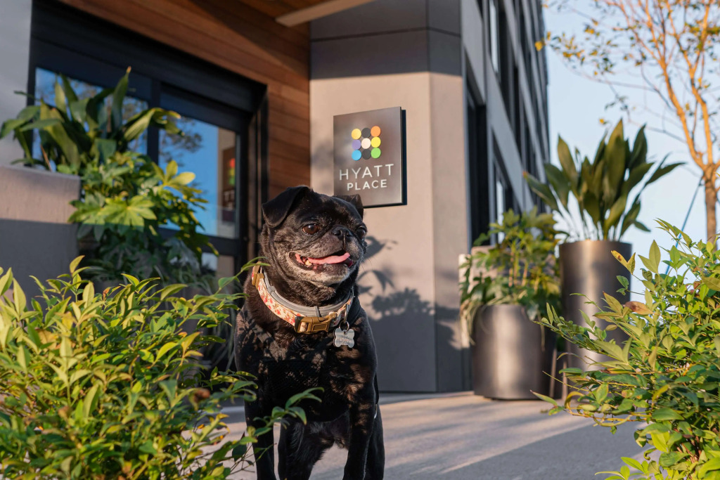 Hyatt Place Atlanta/Perimeter Center