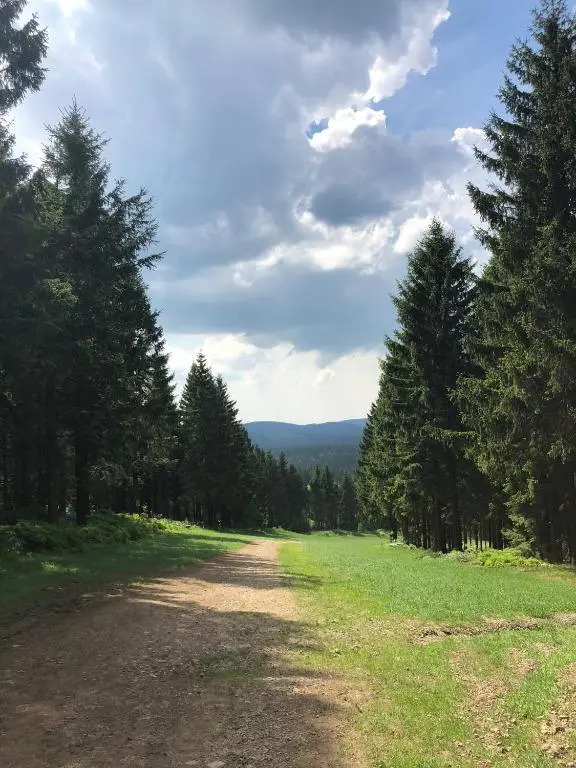 Hahnenklee Ferienpark 7-511