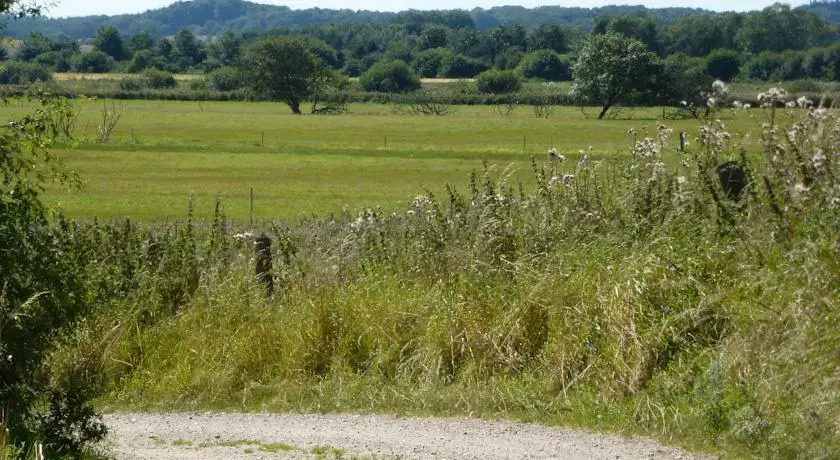 Trangemosegaard