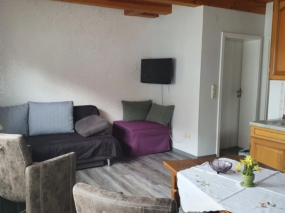 Large detached holiday home in Hesse with private garden and terrace