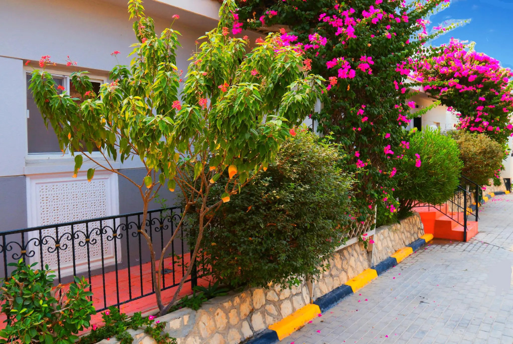 Tropicana Hotel