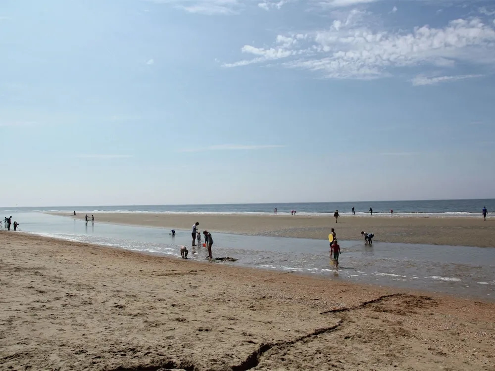 Attractive Holiday Home in Castricum near Center & Forest
