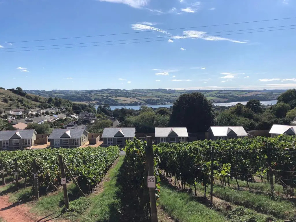 Old Walls Vineyard