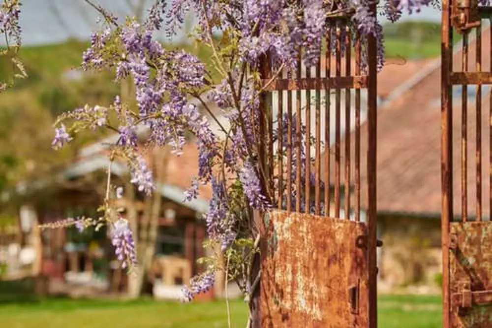Ferme Elhorga
