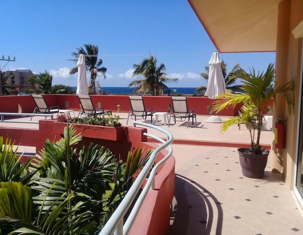 Casa Misifus