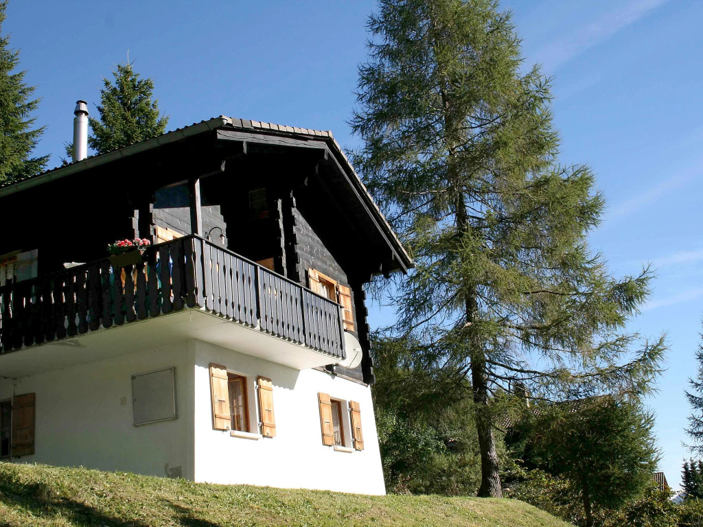 Chalet 1005