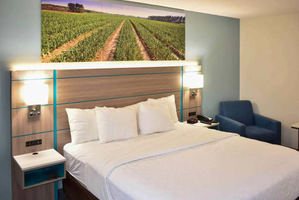 Comfort Inn Vidalia