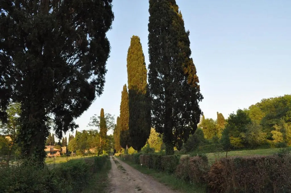 Armonie di Villa Incontri B&B