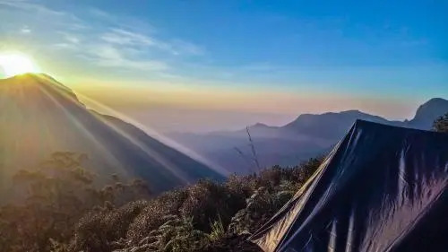 Munnar Adventures