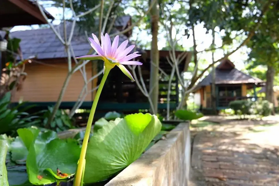 Baan Lalita Resort