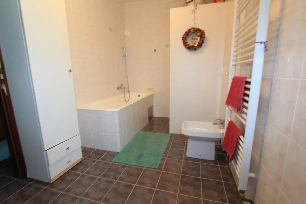 Apartment Aneta