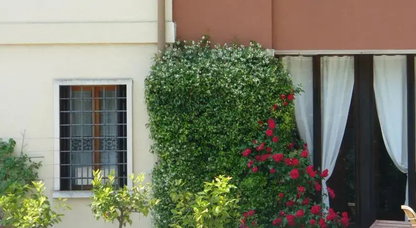 Il Bagolaro