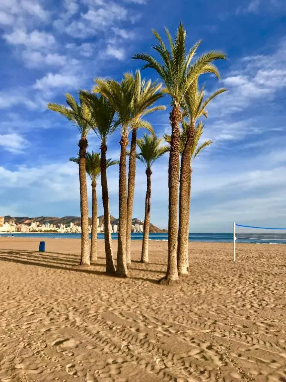 Neptuno on the Beach
