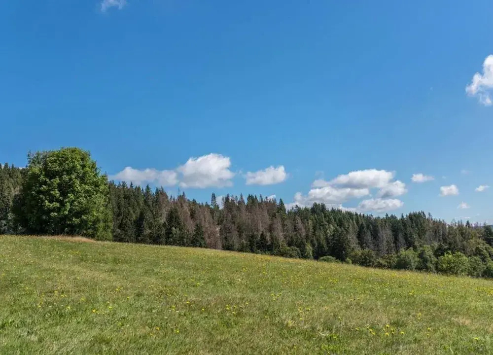 Ferienwohnung im Schwarzwald mit Garten