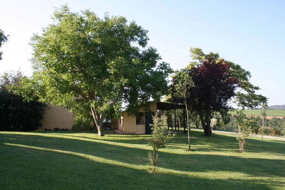 The House With Terrace