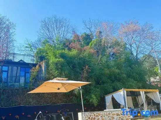 Royi Homestay