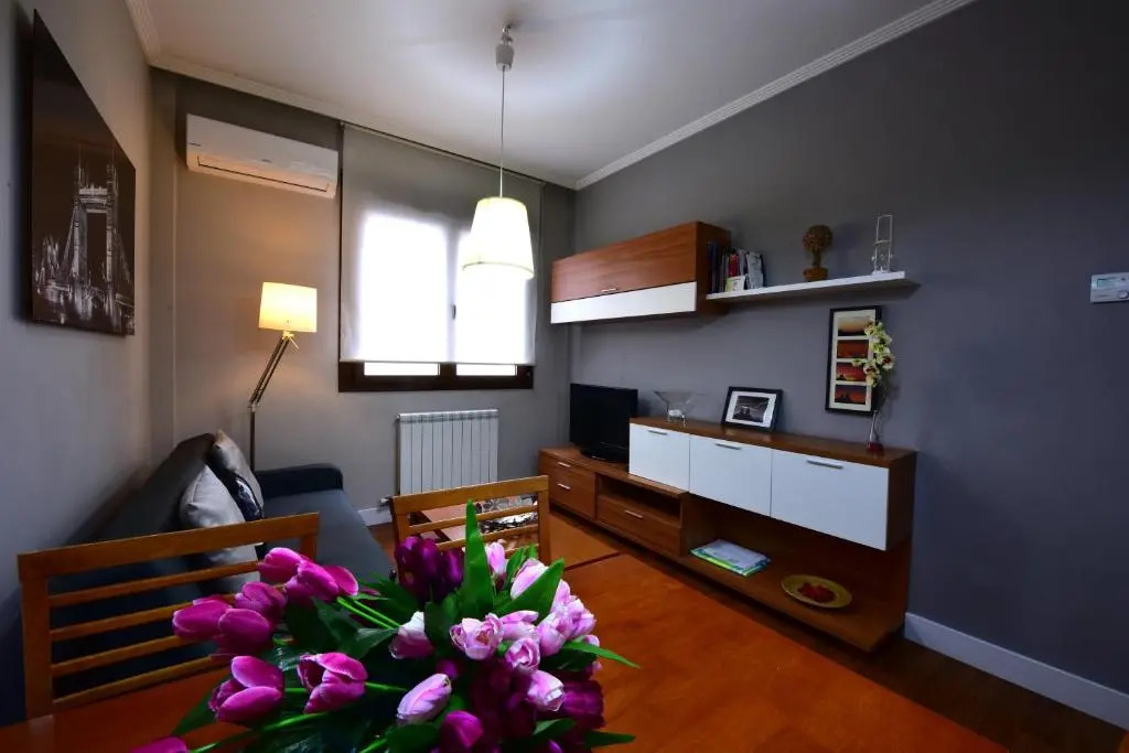 Salamanca Centro Apartamentos