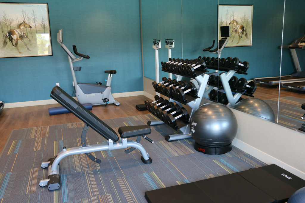Holiday Inn Express & Suites - Hendersonville SE - Flat Rock by IHG