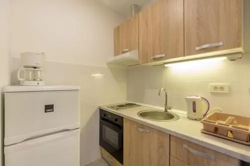 Apartment Mila