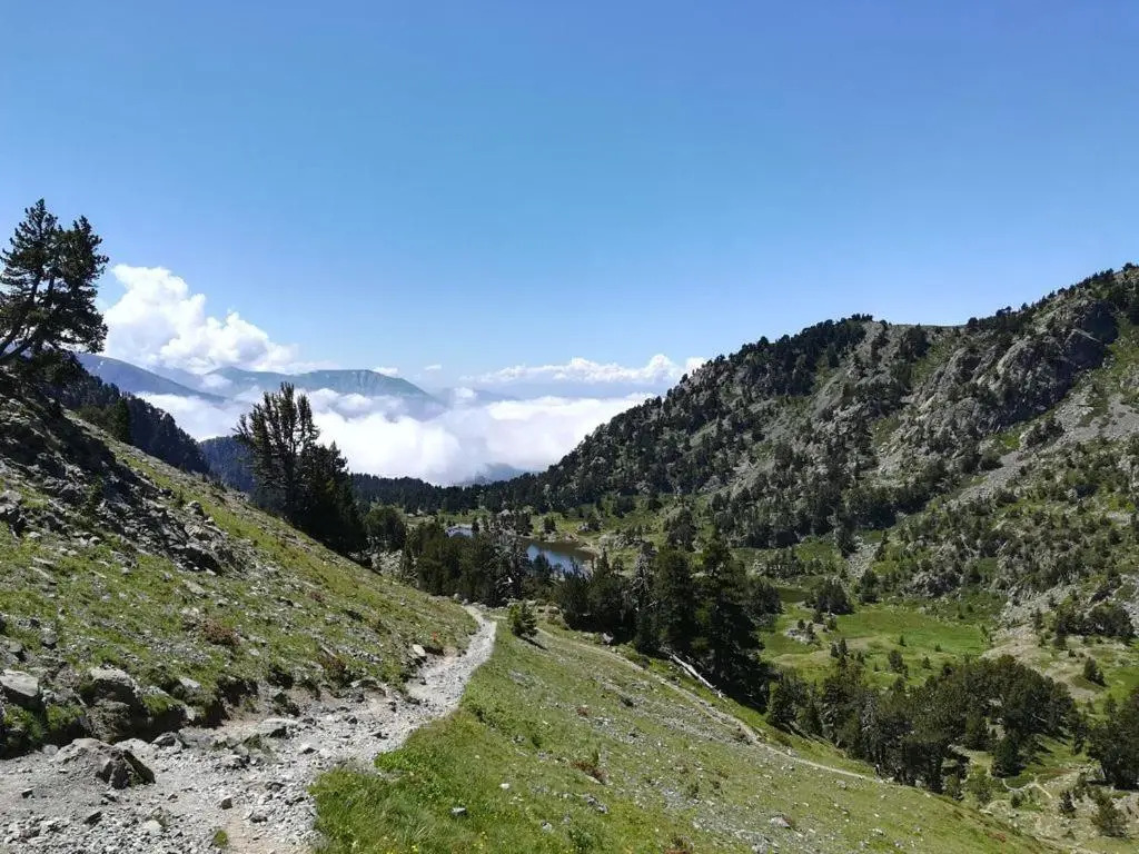 Chamrousse 1750 - Le Taillefer - Appartement classé 3 étoiles