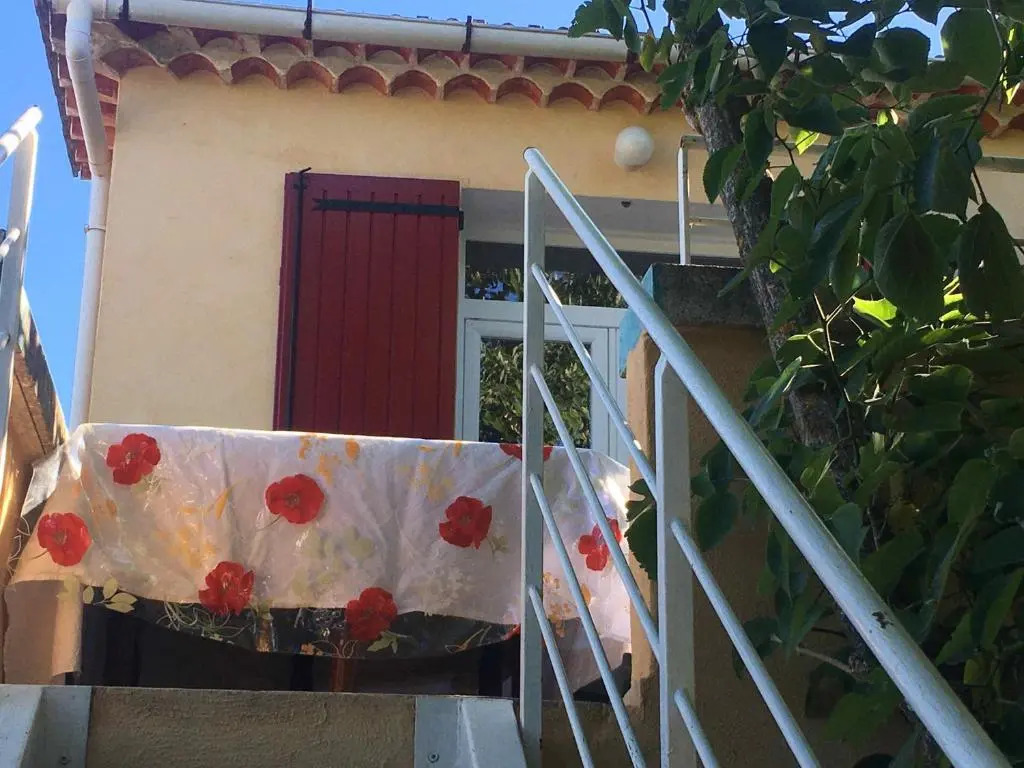 À l'ombre du mûrier