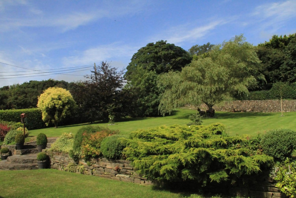 Marguerites B&B
