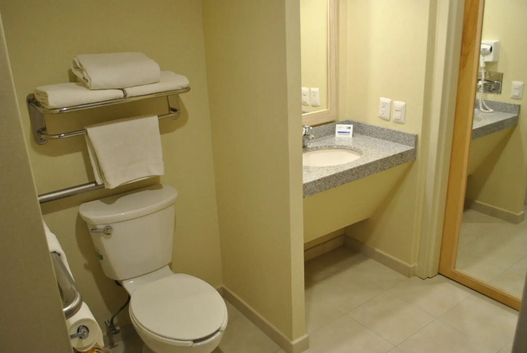 Holiday Inn Express Toluca by IHG