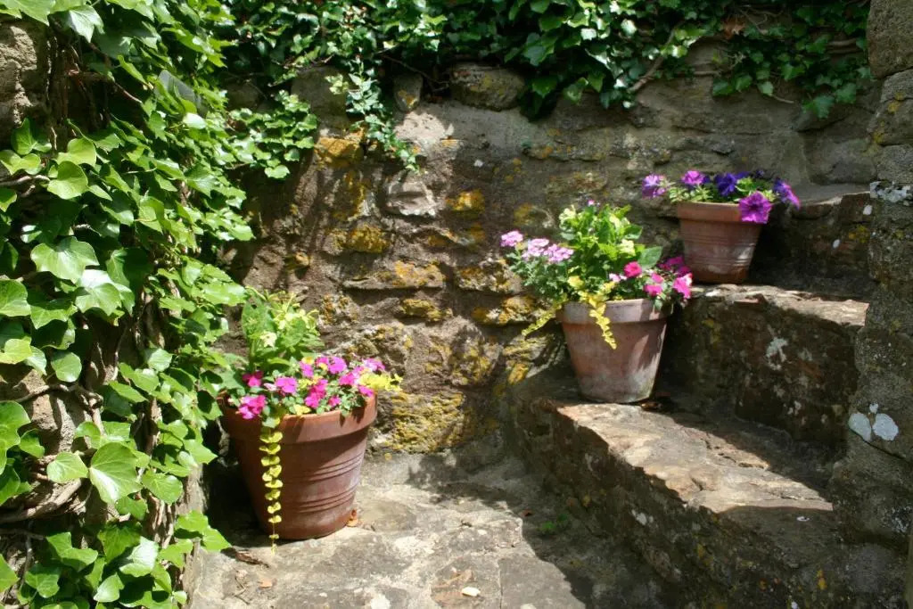 The Cottage Abbotsbury