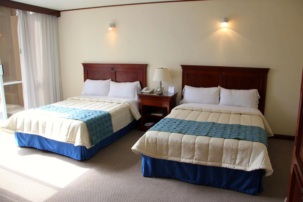 Hotel Tehuacan Plaza