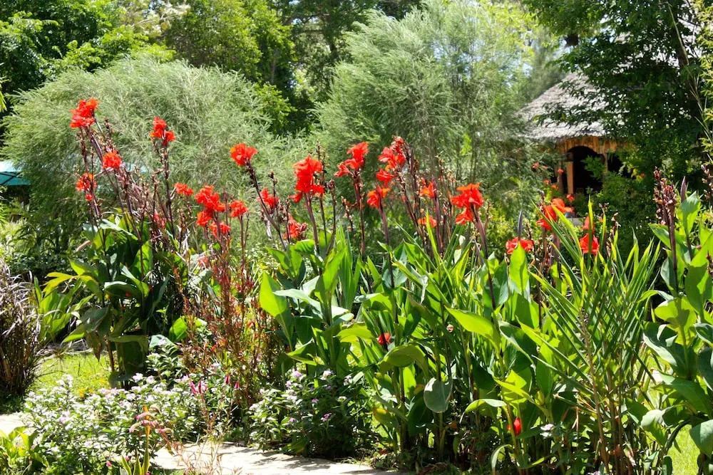 Vijiji Center Lodge and Safari