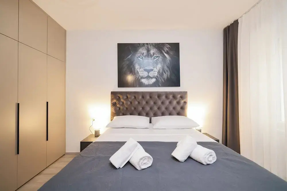Classy apartments in city centar