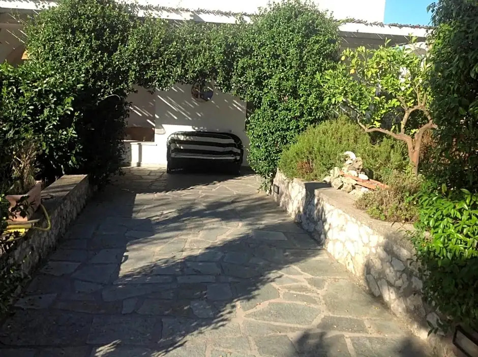 Il Merlo