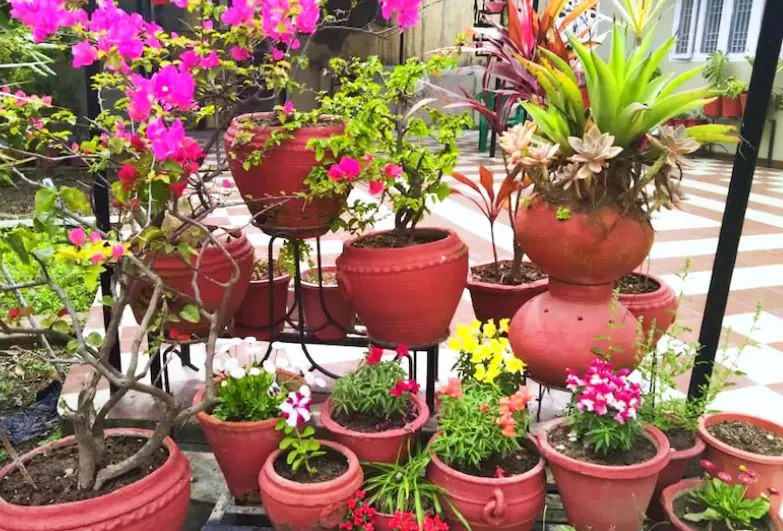 Ubex Home Samridhi