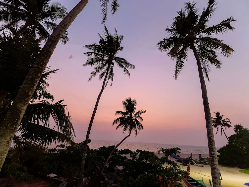 OYO 11891 Amare Beach Resorts