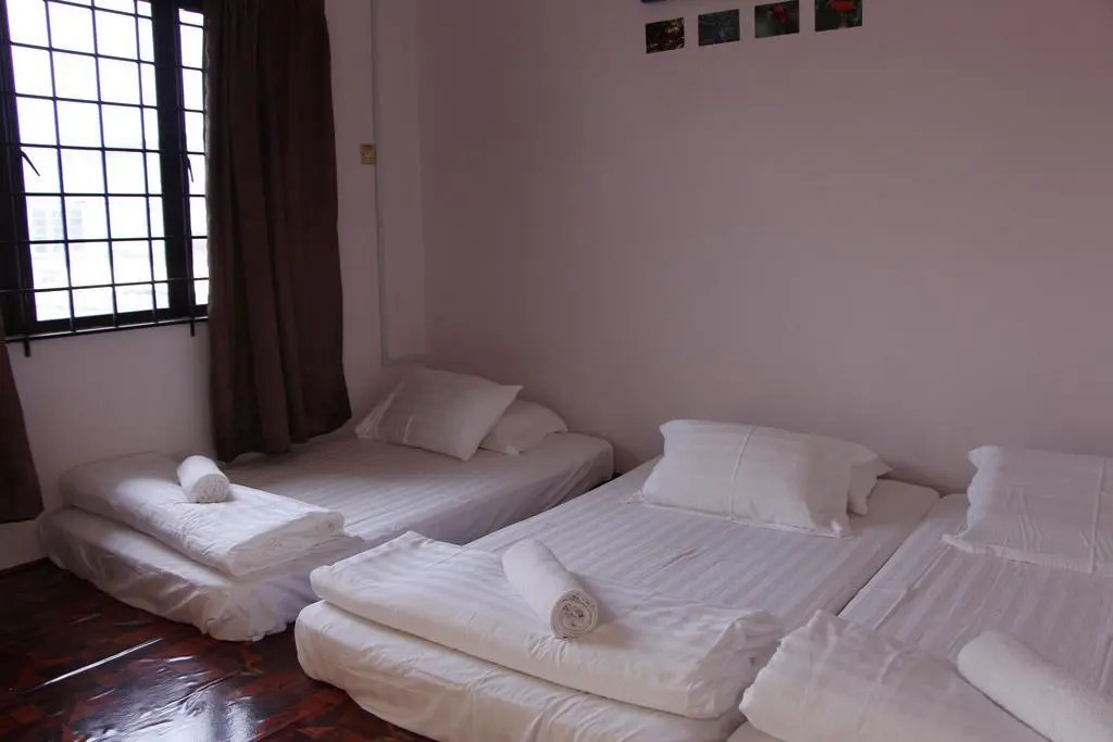 Three Little Birds Home - Hostel