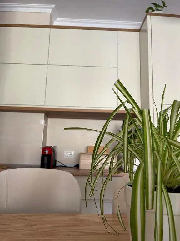 Bora s Cozy Apartment Tirana