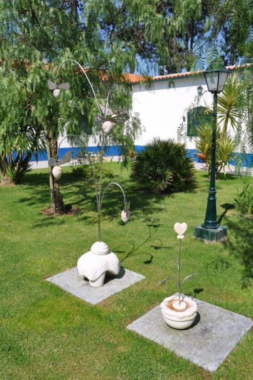 The Camp