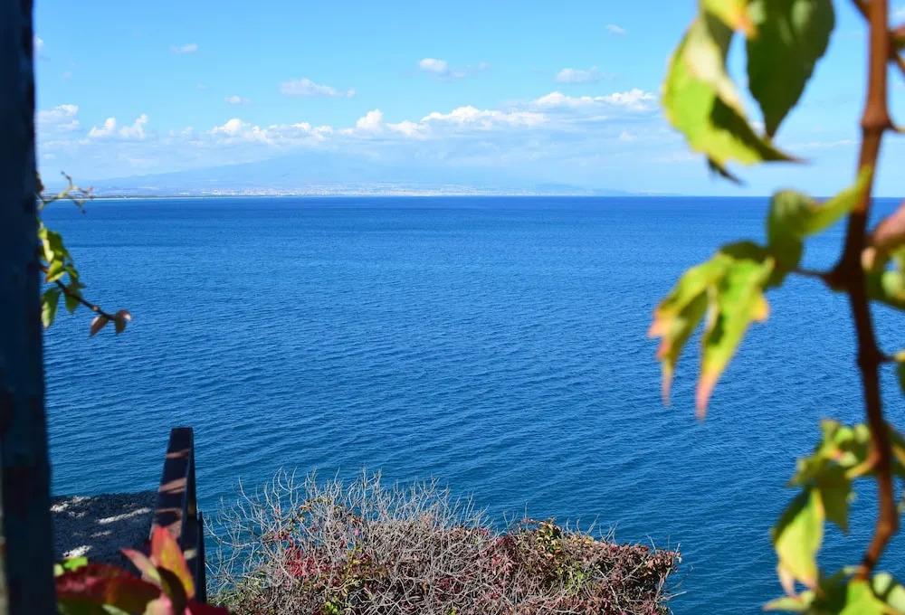 Saracena View