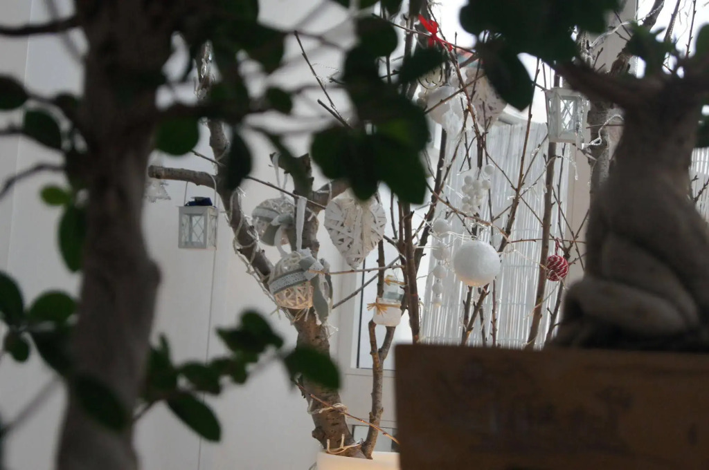 La Bella Trani - Suites and B&B