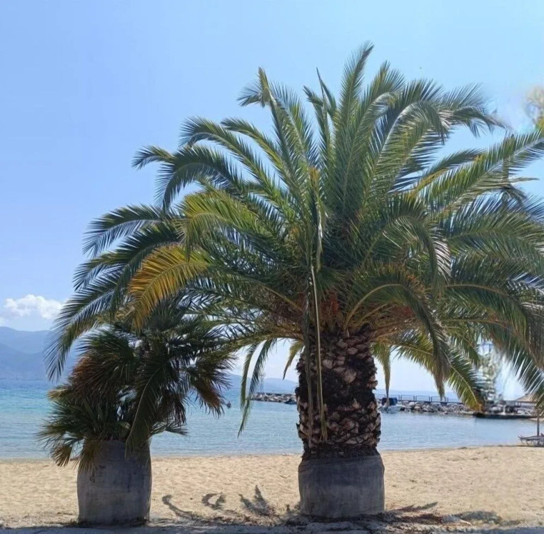 Salina SPA Villas - with PRIVATE HEATED ECO-POOL, SAUNA & JACCUZI HOT TUB