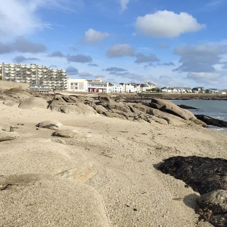 Le 21 Vue Sur Mer