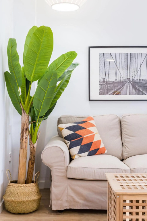 Cozy apartment Valencia city center