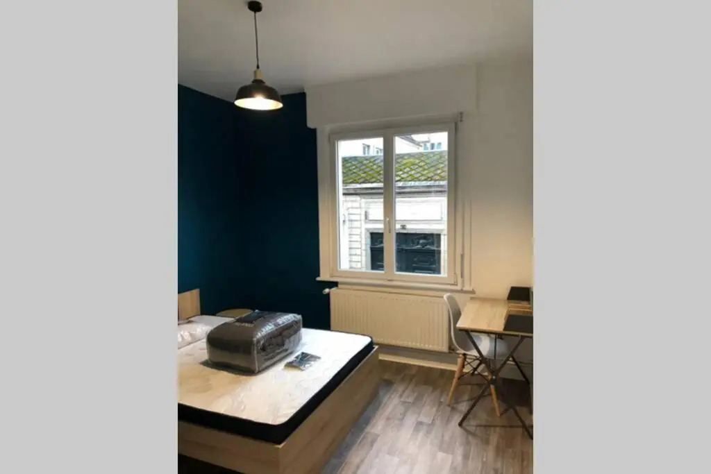 Spacieux confortable appartement centre ville