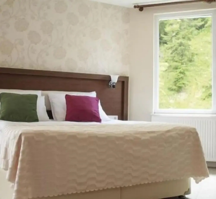 Hotel Green Valley Savsat
