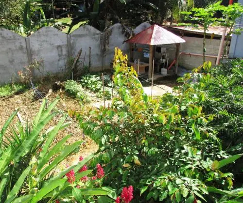Rio Mopan Lodge