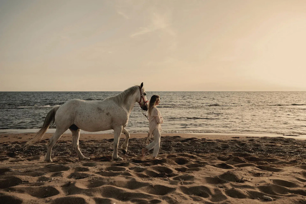 Meraviglia Slow Living