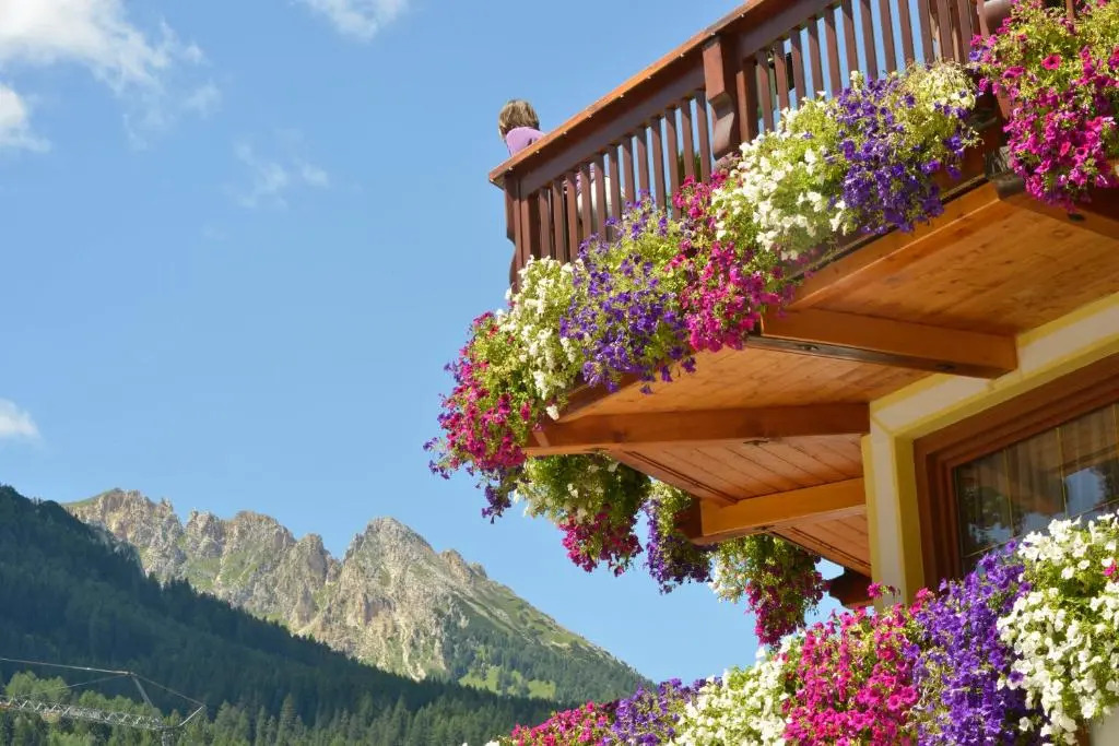 Hotel Alle Alpi